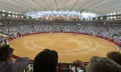 La DPZ adjudica a Conphia Urbana SL el contrato de arrendamiento de la plaza de toros de La Misericordia para 2026 y 2027